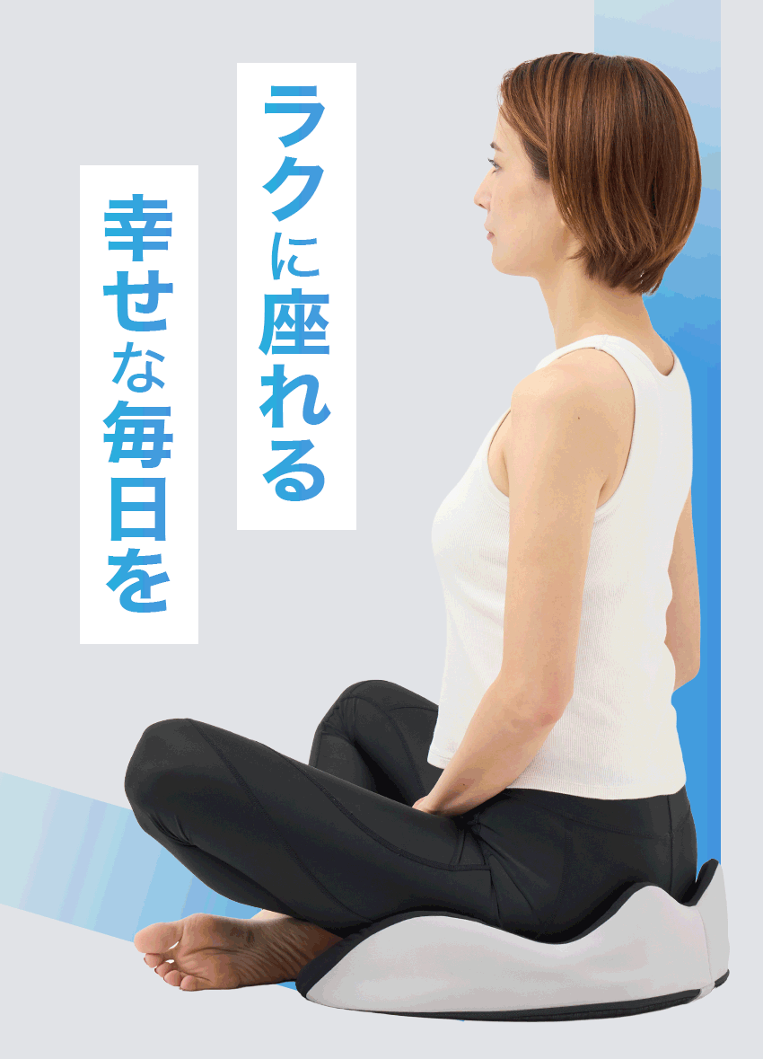 アラインパッド プロ AllignPad Pro 姿勢補正 クッション 骨盤矯正 アラインパッド プロ | vibiby
